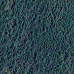 Little Willow River WMA - Round Lake Unit Preview 3