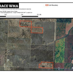 Loncrace WMA Preview 1