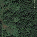 Long Branch Creek WMA Preview 3