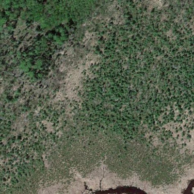 Long Lake WMA Preview 3