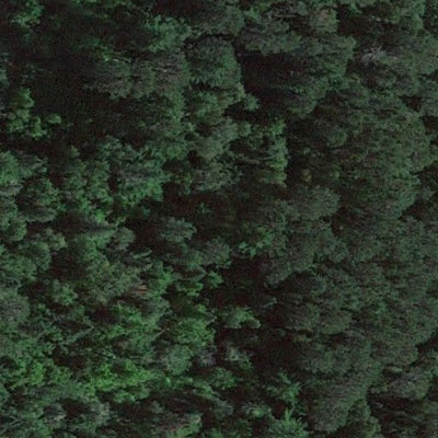 Long Lost Lake WMA Preview 2