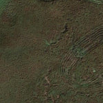 Lundy WMA Preview 2