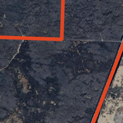 Moose River WMA - Thief Lake Unit Preview 2
