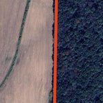 Rice-Skunk WMA - Rice Lake Unit Preview 2