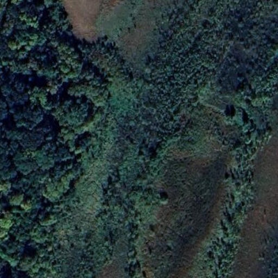 Rich Valley WMA - Tract 2 Preview 3
