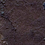 Salt Lake WMA - North Unit Preview 2