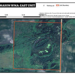 Sarah-Mason WMA - East Unit Preview 1