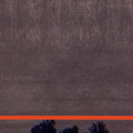 Schletty WMA - Easement Unit Preview 2