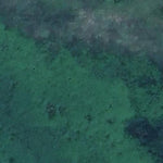 Swan Lake WMA - Johnson Marsh Unit Preview 2