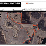 Swan Lake WMA - Mackenzie Tract Preview 1