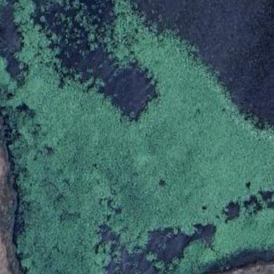 Swan Lake WMA - Oak Leaf Lake Unit Preview 3