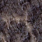 Swan Lake WMA - Peterson Lake East Unit Preview 2