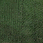 Wachter WMA - North Addition Unit Preview 3