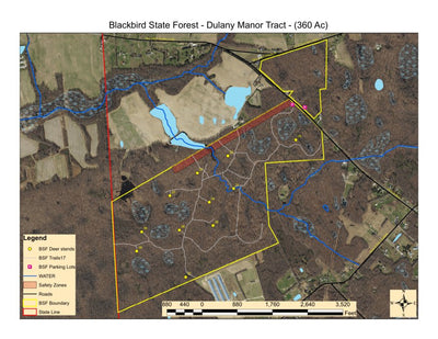 Delaware Forest Service Delaware Forest Serv, Blackbird State Forest, Dulany Manor Tract digital map