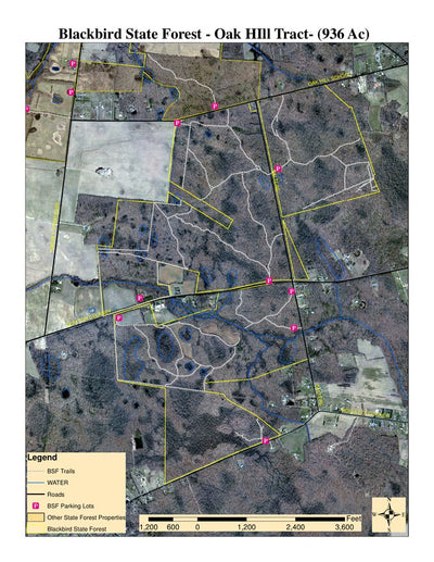 Delaware Forest Serv, Blackbird State Forest, Oak Hill Tract Preview 1