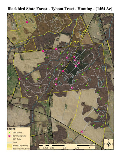 Delaware Forest Service Delaware Forest Serv, Blackbird State Forest, Tybout Tract Hunting digital map