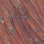 Abudda Lakes (6551-21i) Preview 3