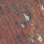 Abudda Lakes (6551-24i) Preview 3