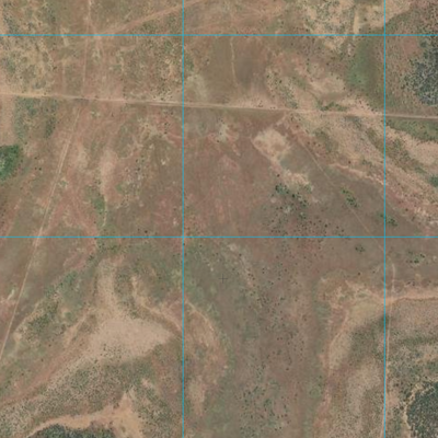 Augustus Downs (6860-11i) Preview 2
