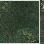 BAMBOO CREEK (7965-242i) Preview 1