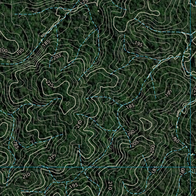 BAMBOO CREEK (7965-242i) Preview 2