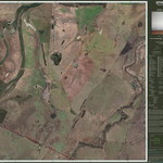 Bauhinia (8748-113i) Preview 1