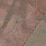 Bauhinia (8748-113i) Preview 2