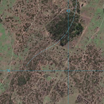 Bauhinia (8748-113i) Preview 3