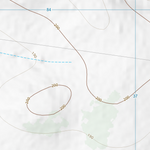 Bauhinia (8748-141) Preview 3