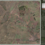 Bauhinia (8748-141i) Preview 1