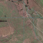 Bauhinia (8748-141i) Preview 2