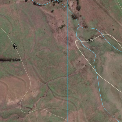 Bauhinia (8748-141i) Preview 2