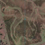 Bauhinia (8748-141i) Preview 3