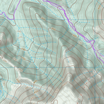 Bellenden Ker (8063-24) Preview 2