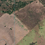 BILOELA (9049-334i) Preview 2