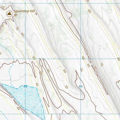 Birdsville (6746-22) Preview 3