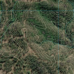 Blackbutt (9344-333i) Preview 3