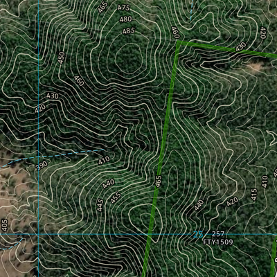 Blackbutt (9344-334i) Preview 3