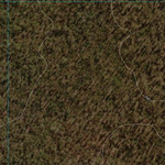 Blackdown Tableland (8750-343i) Preview 2