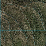 Boogalgopal Creek (9048-224i) Preview 3