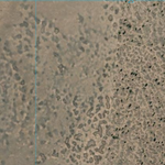 Boondandilla (9042-344i) Preview 2