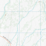 Budgerygar (7647-23) Preview 2