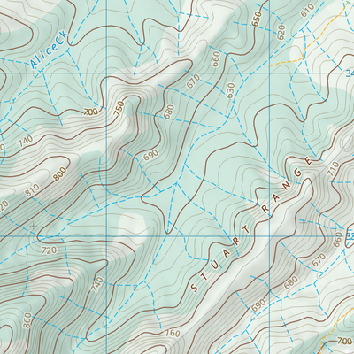 Bunya (9244-34) Preview 2