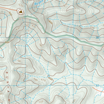 Bunya (9244-34) Preview 3