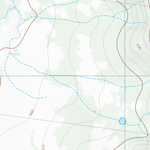 Bunya (9244-341) Preview 2