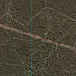 Burns Gully (9141-112i) Preview 2