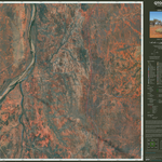 Cabbage Tree (6958-32i) Preview 1