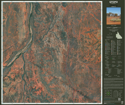 Cabbage Tree (6958-32i) Preview 1