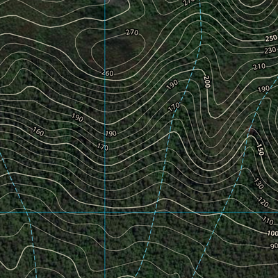 Cardwell (8161-341i) Preview 3