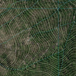 Cardwell (8161-343i) Preview 3